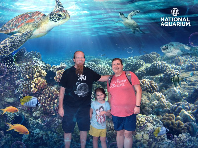 At the National Aquarium